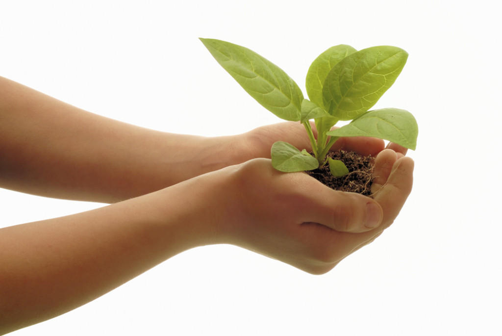 27.1.2013 od 11:00 do 22:00 Nedeljske DETOX urice